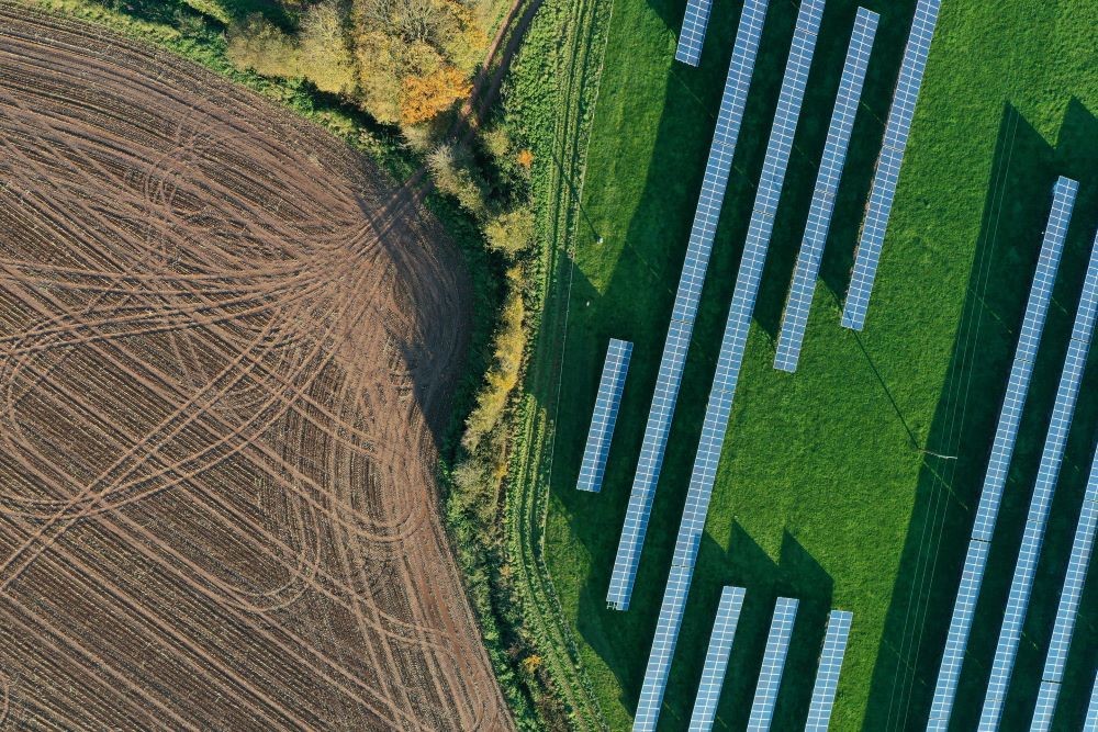 Renewable Energy Auction