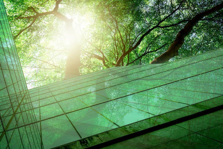 Netzero