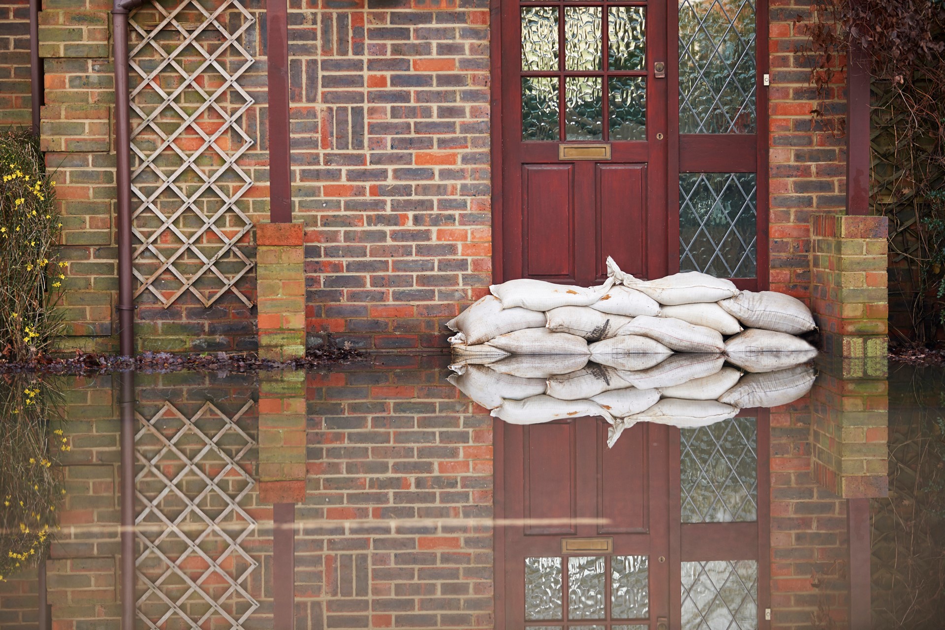 Flood 2